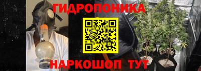 сатива Северобайкальск