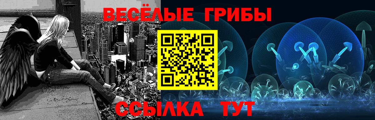 Галлюциногенные грибы прущие грибы Благодарный