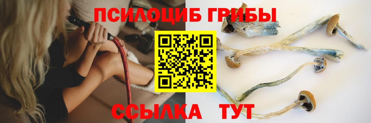 Псилоцибиновые грибы мицелий  Вход с VPN  Благодарный 